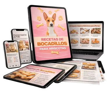 Recetas de Snacks para Mascotas