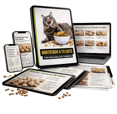 Snacks para tu Gato
