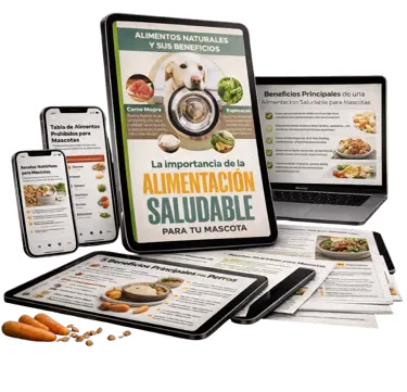 La importancia de una alimentación saludable para las mascotas